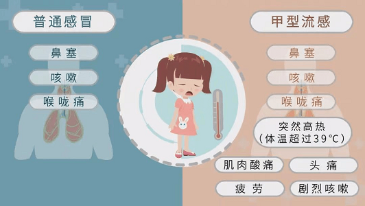 普通感冒與甲流的區別